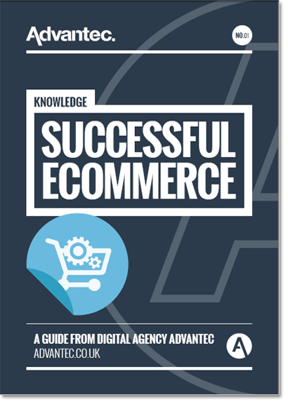 The cover of the Successful Ecommerce Guide publication